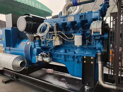 衡水長(zhǎng)期提供本地發(fā)電機(jī)出租，租賃選康成機(jī)電設(shè)備